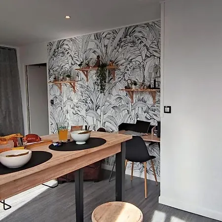 Apartmán Le Cocon Zen - Balcon -bureau - Centre-ville Castelnaudary