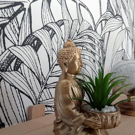 Le Cocon Zen - Balcon -bureau - Centre-ville Apartmán *