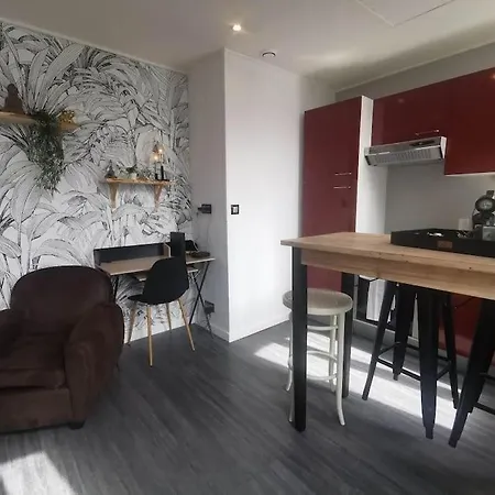 Apartmán Le Cocon Zen - Balcon -bureau - Centre-ville *